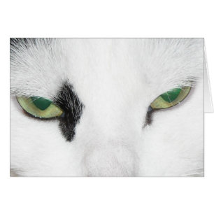 Cat Öga Hälsningskort