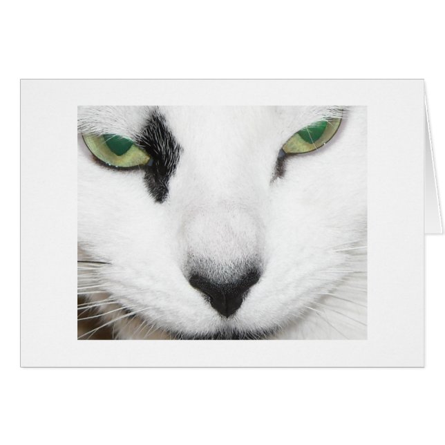 Cat Öga Hälsningskort (Framsidan Horizontal)