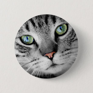 Cat öga knapp