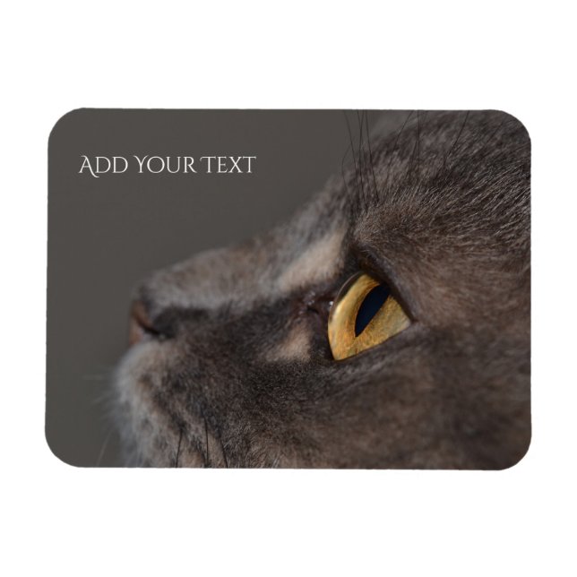 Cat Öga-Macro av Shirley Taylor Magnet (Horisontell)