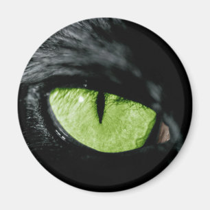 Cat öga magnet