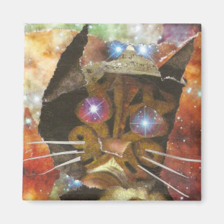 Cat Öga Magnet