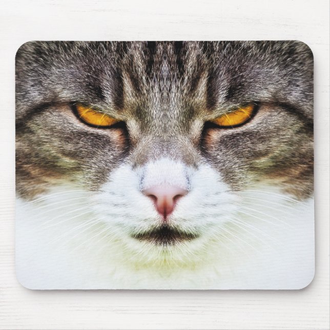 cat öga musmatta (Framsidan)