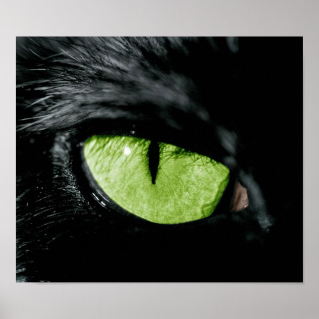 Cat öga poster (Framsidan)