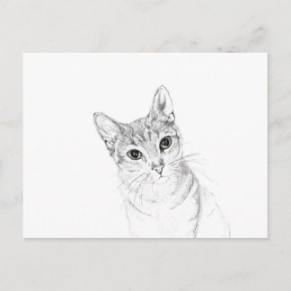 Cat Ögon A Pencil Teckning Vykort