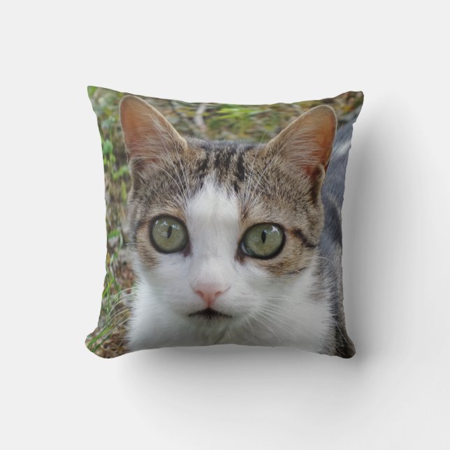 Cat Ögon Dekorativ kudde (Framsida)
