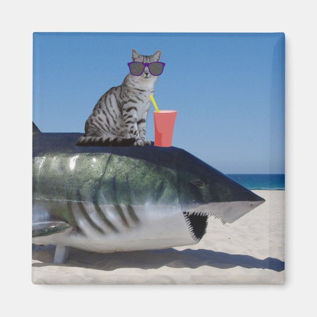 CAT PÅ BEACH SHARK MAGNET (Framsidan)