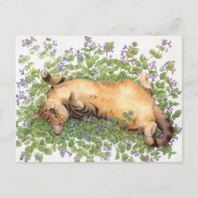 CAT-PAINERING VYKORT (Framsida)