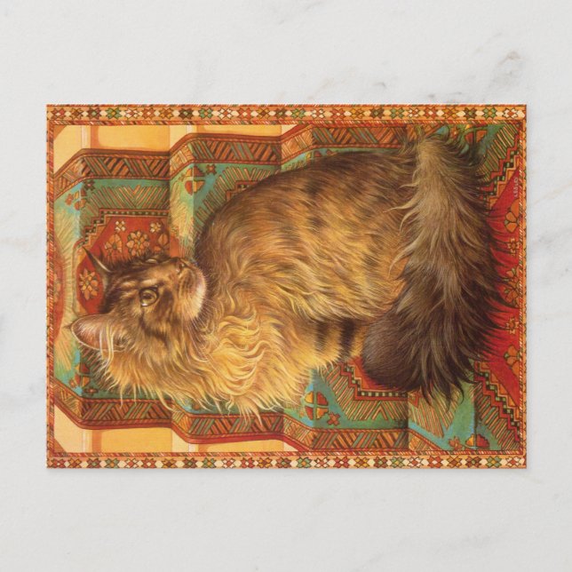 CAT-PAINERING VYKORT (Framsida)