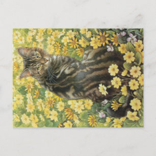 CAT-PAINERING VYKORT