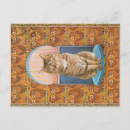 CAT-PAINERING VYKORT