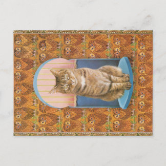 CAT-PAINERING VYKORT