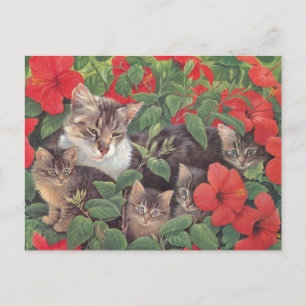 CAT-PAINERING VYKORT