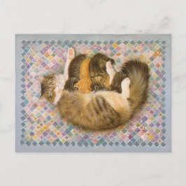 CAT-PAINERING VYKORT