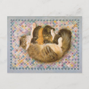 CAT-PAINERING VYKORT