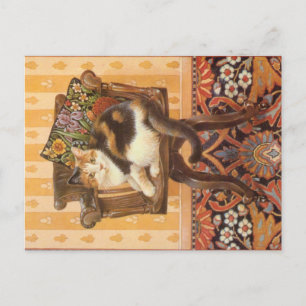 CAT-PAINERING VYKORT