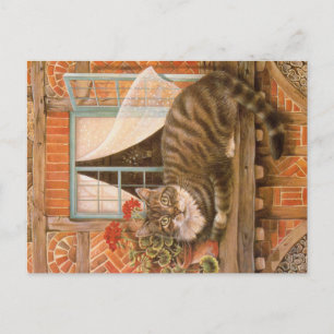 CAT-PAINERING VYKORT