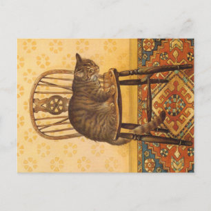 CAT-PAINERING VYKORT