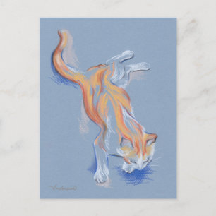 Cat Pastel Orange och Vita Tabby på Blue Vykort