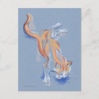Cat Pastel Orange och Vita Tabby på Blue Vykort