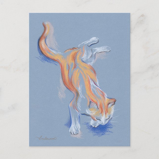 Cat Pastel Orange och Vita Tabby på Blue Vykort (Framsida)