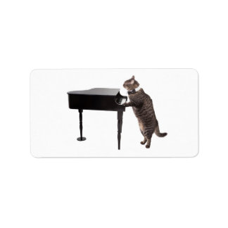 Cat Pay Piano Adressetikett