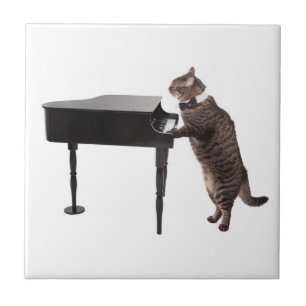 Cat Pay Piano Kakelplatta
