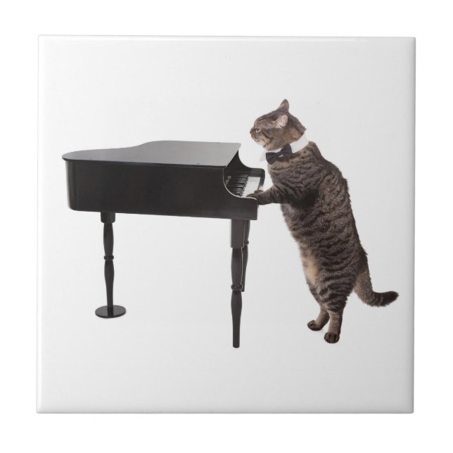 Cat Pay Piano Kakelplatta (Framsidan)