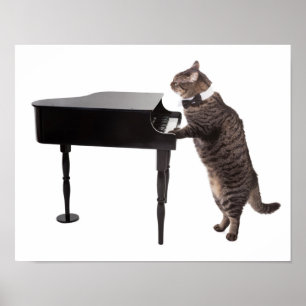 Cat Pay Piano Poster