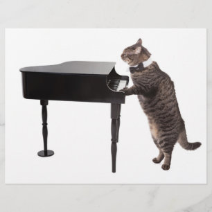 Cat Pay Piano Reklamblad