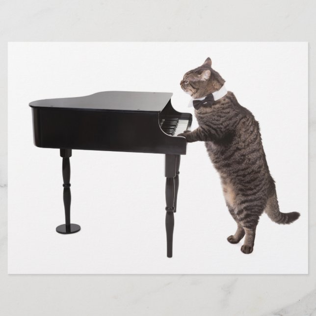 Cat Pay Piano Reklamblad (Framsidan)