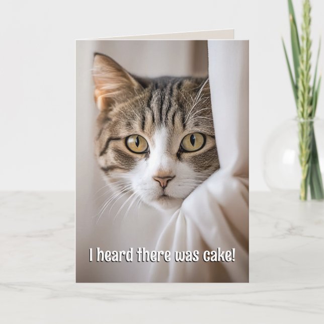 Cat Peeking Around Curtain Birthday Humor Kort (Framsida)