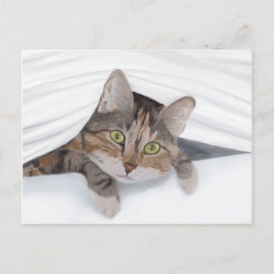 Cat Peekout JW Vykort