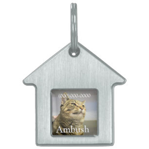 Cat Pet ID-tagg ID-bricka Husdjur