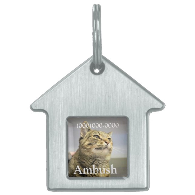 Cat Pet ID-tagg ID-bricka Husdjur (Framsidan)