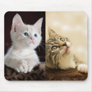 Cat Pet Photo Personlig Musmatta