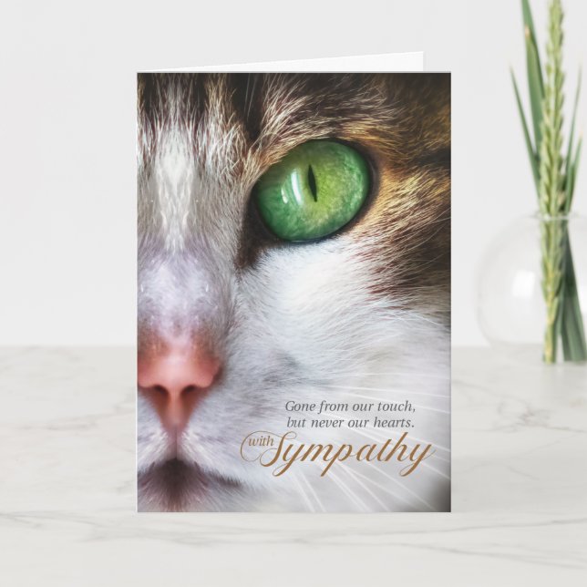 Cat Pet Sympathy Tabby Ansikte Tender Message Kort (Framsida)