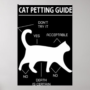 Cat Petting Guide Poster