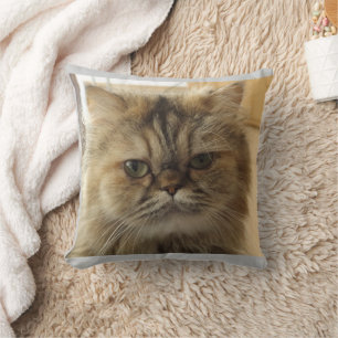 CAT PHOTO ANPASSNINGSBAR Dekorativ kudde