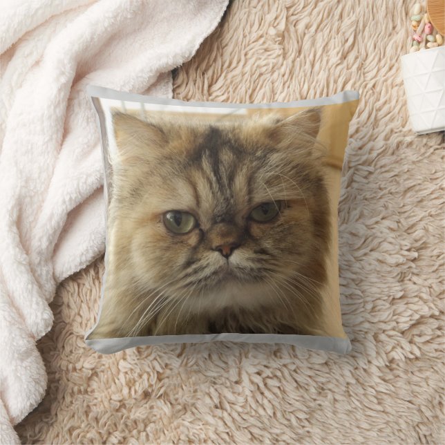 CAT PHOTO ANPASSNINGSBAR Dekorativ kudde (Filt)