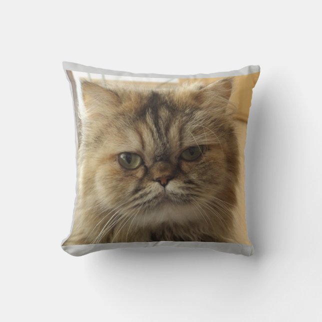 CAT PHOTO ANPASSNINGSBAR Dekorativ kudde (Framsida)