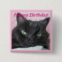 Cat Photo Birthday Knapp