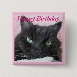 Cat Photo Birthday Knapp