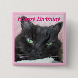 Cat Photo Birthday Knapp