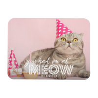 Cat Photo | Du hade mig i Meow