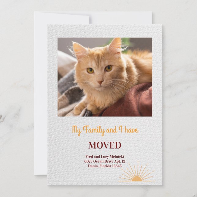 Cat Photo Flytta Announement Meddelande (Framsida)