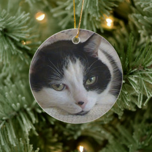 Cat Photo jul Julgransprydnad Keramik