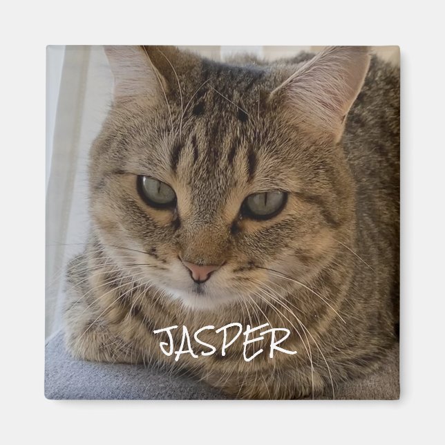 Cat Photo Magnet (Framsidan)