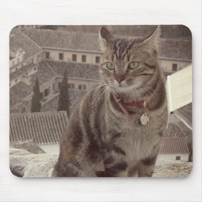 Cat Photo Mousepad Musmatta (Framsidan)
