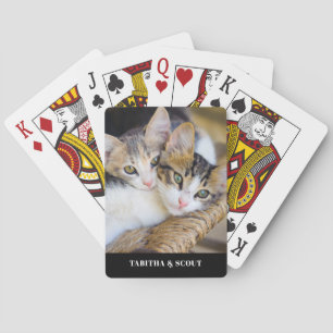 Cat Photo Namn Casinokort